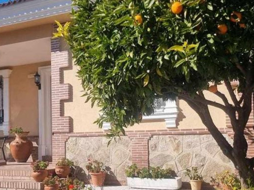 Disponibilidad y Precios - 4