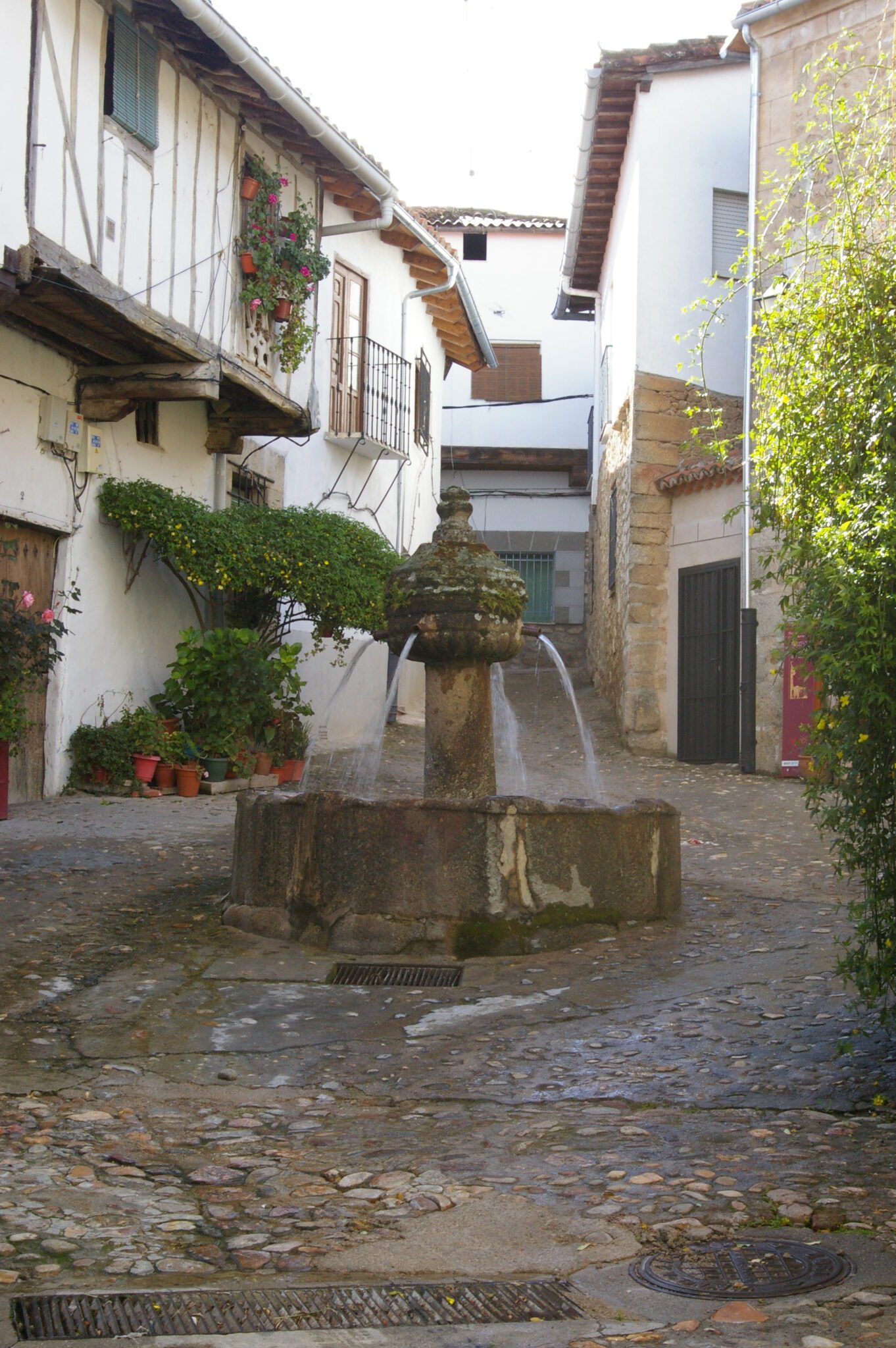 la Cocina en Casa Rural El Camino de Yuste