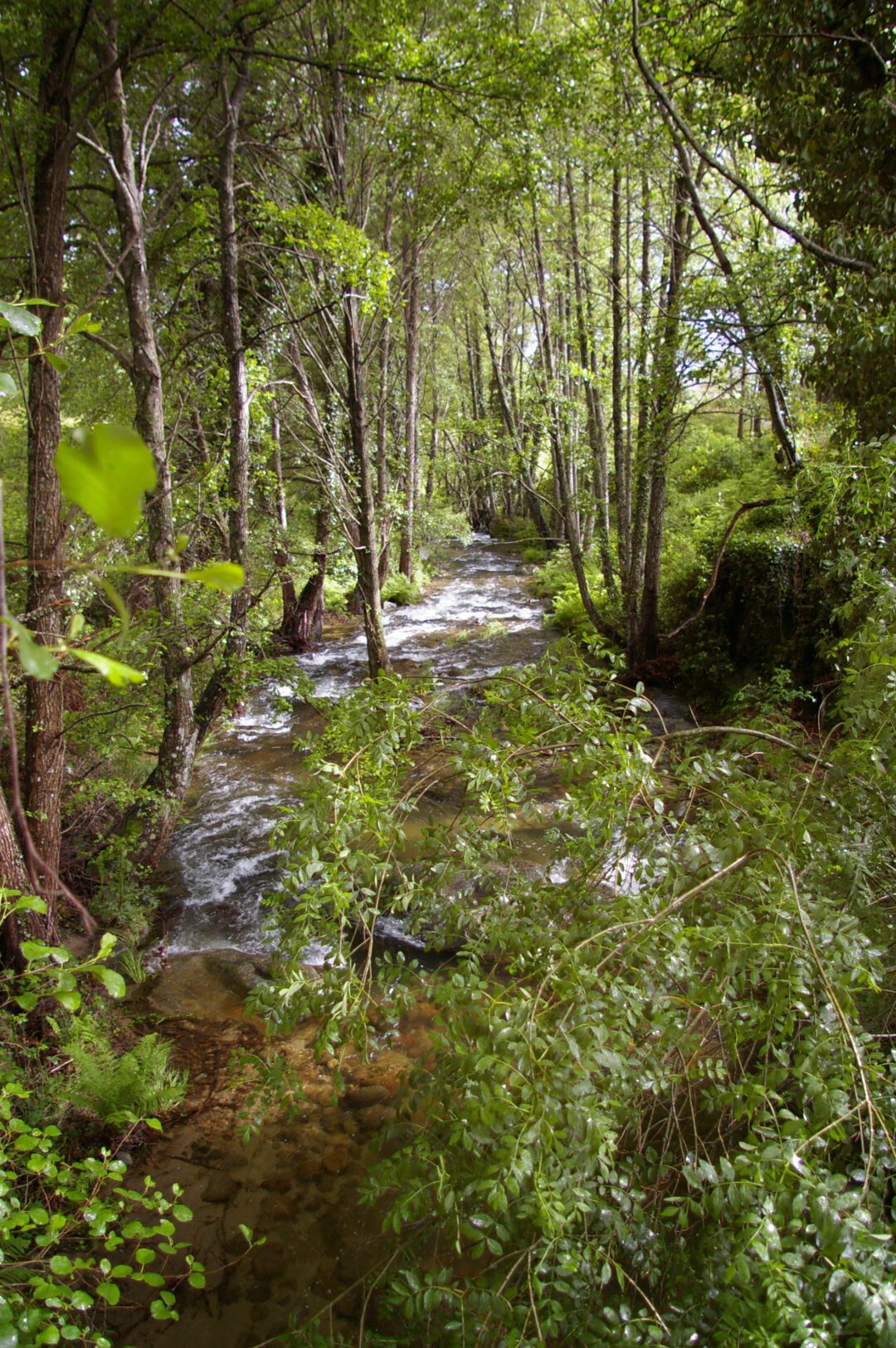 Pasillo en Casa Rural El Camino de Yuste